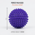 Wiselife Hedgehog Massage Ball