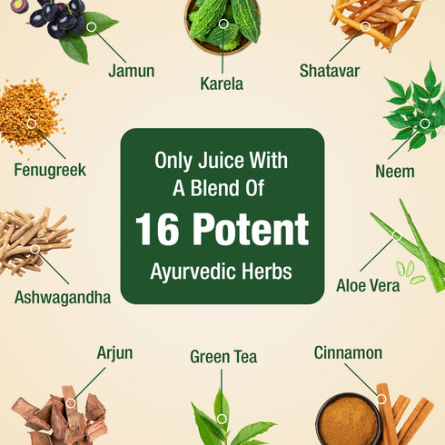 DiabeSmart Dia Care Juice