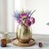 Behoma Oval Vase