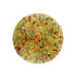 Colors Queen Galaxy Glitz Nail Paint | 17ml