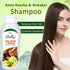 Globus Remedies Amla Reetha Shikakai Shampoo