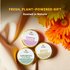 Tvishi Skincare Clay Mask Minis Potli Pouch Free