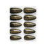 Shills Professional Cat Eye Nails(SPN693-SPN698)