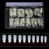 Shills Professional Soft Gel Matte T-Shape Tips-PT19-NATURAL