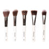 Praush 5 Pcs Essentials Face Brush Set