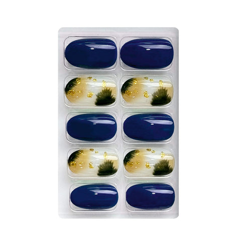 Shills Professional Pure And Nail Art Combo(SPN699-SPN707)