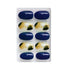 Shills Professional Pure And Nail Art Combo(SPN699-SPN707)