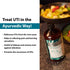 Namyaa Skincare Namyaa Mutrakriccha Syrup for UTI