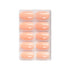 Shills Professional Glossy Solid Color Nails Oval(SPN527-SPN552)