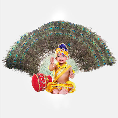 Raj Fancy Dresses Baby Krishna Dress Pagri| Flower Dress for Janmashtami