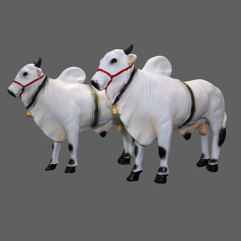Large Fiber Ongole Bull Pair - Table Decoration Figurines