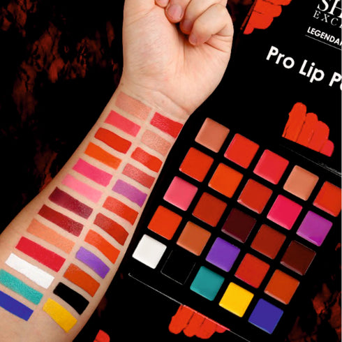 Shills Professional Pro Lip Palette 25 shades