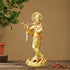 Brass Krishna Colour Statue 1.96Kg