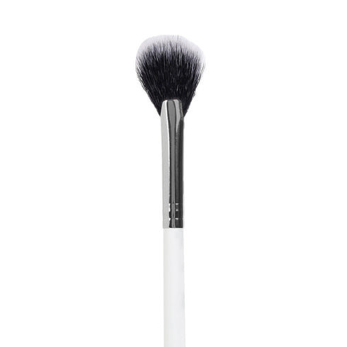 Praush P06 - Professional Highlighter Fan Brush