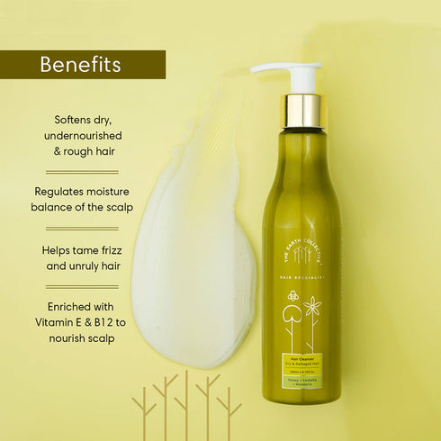 Theearthcollective in Dry & Damaged Hair Cleanser Shampoo Honey Centella and Mandarin