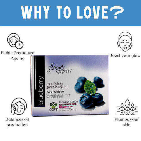 Skin Secrets Blueberry Facial Kit 410gm