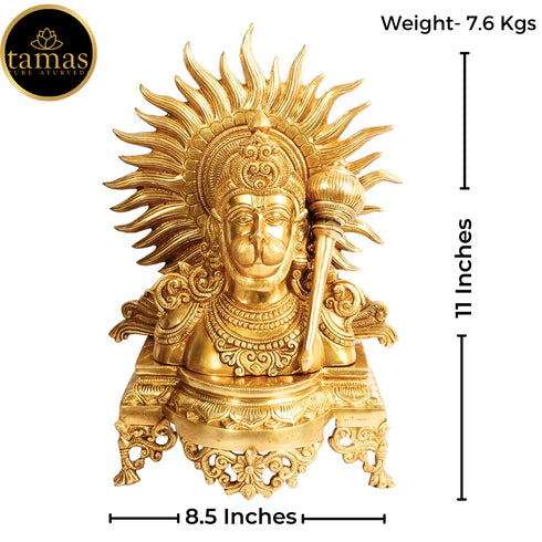 Tamas Brass Lord Hanuman ji Bust with Gada on Shoulder Murti