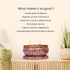 Bryan & Candy Pumpkin Spice Aromatherapy Candles