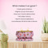 Bryan & Candy White Tea & Ginger Scented Candle
