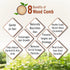 Keya Seth Aromatherapy 3-in-1 Neem Wooden Comb Small Size