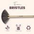 Mars Artist's Arsenal Brush | Fan Brush