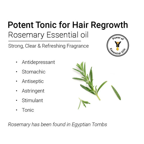 Keya Seth Aromatherapy Rosemary Essential Oil