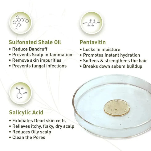 Keya Seth Aromatherapy Scalp care Dandruff Removal Shampoo with Salicylic Acid