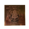 Brass Maha Lakshmi Yantra for Home & Office
