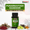 Sharmayu Ayurveda Punarnavyadi Mandoor Punarnavadi Mandoor Ayurvedic Medicine for Anemia and Appetite Improvement