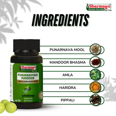 Sharmayu Ayurveda Punarnavyadi Mandoor Punarnavadi Mandoor Ayurvedic Medicine for Anemia and Appetite Improvement