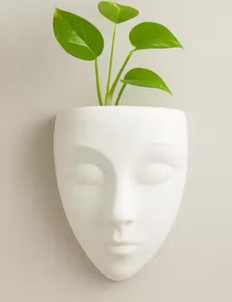 Generic Wall Mounted Face Planter Set| White