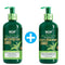 Wow Skin Science Green Tea & Tea Tree AntiDandruff Shampoo & Conditioner