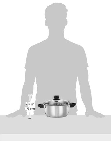 Solimo Stainless Steel Induction Bottom Dutch Oven With Glass Lid