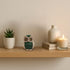 The Spiritual Living Classy Green Owl Statue for Good Luck | Feng Shui Items