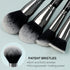 Shills Professional Make Up Brush Set