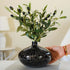 Behoma Crackle Vase – Black