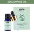 Nykaa Naturals Eucalyptus Essential Oil for Firm Skin & Smooth Hair