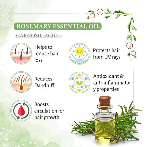 Keya Seth Aromatherapy Rosemary Tea Tree Coconut Hair Growth Serum