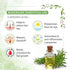 Keya Seth Aromatherapy Rosemary Tea Tree Coconut Hair Growth Serum