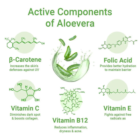 Keya Seth Aromatherapy Aloe Vera Essential Skin Care Routine Kit for All Skin Types for Men & Women