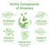 Keya Seth Aromatherapy Aloe Vera Essential Skin Care Routine Kit for All Skin Types for Men & Women