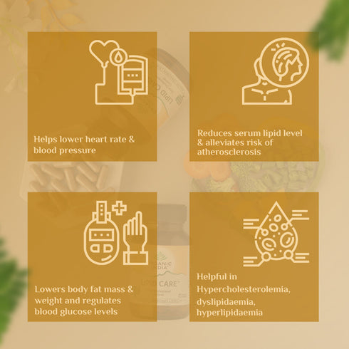 Organic India Lipid Care Capsule bottle