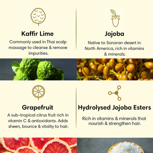 Theearthcollective in Oily Hair Hair Cleanser Shampoo Kaffir Lime Jojoba & Grapefruit