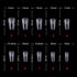 Shills Professional Soft Gel Tips Matte Short T-Shape-PT18-CLEAR