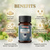 Sharmayu Ayurveda Chandra Prabhakar Bati Chandraprabha Bati Ayurvedic Medicine for Strength Vitality and Wellness