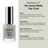 Shills Professional No Lamp Matte Top Coat