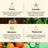 Theearthcollective in Dry & Damaged Hair Cleanser Shampoo Honey Centella and Mandarin