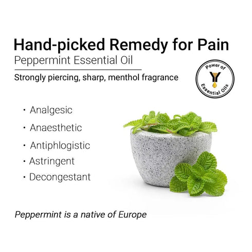 Keya Seth Aromatherapy Peppermint Essential Oil