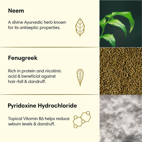 Theearthcollective in Anti Dandruff Hair Conditioner Neem & Fenugreek