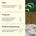 Theearthcollective in Anti Dandruff Hair Conditioner Neem & Fenugreek